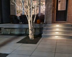 Outdoor lighting accents