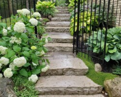 Natural stone step walkway